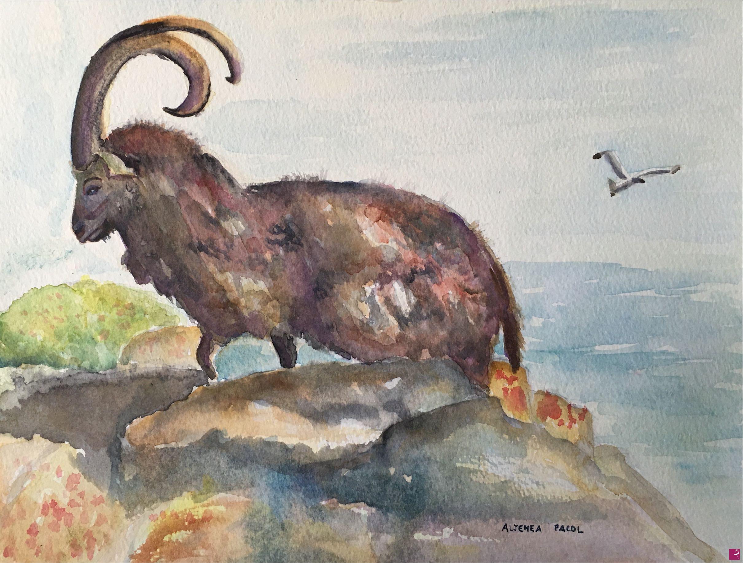 quadri in vendita online - Goat ibex