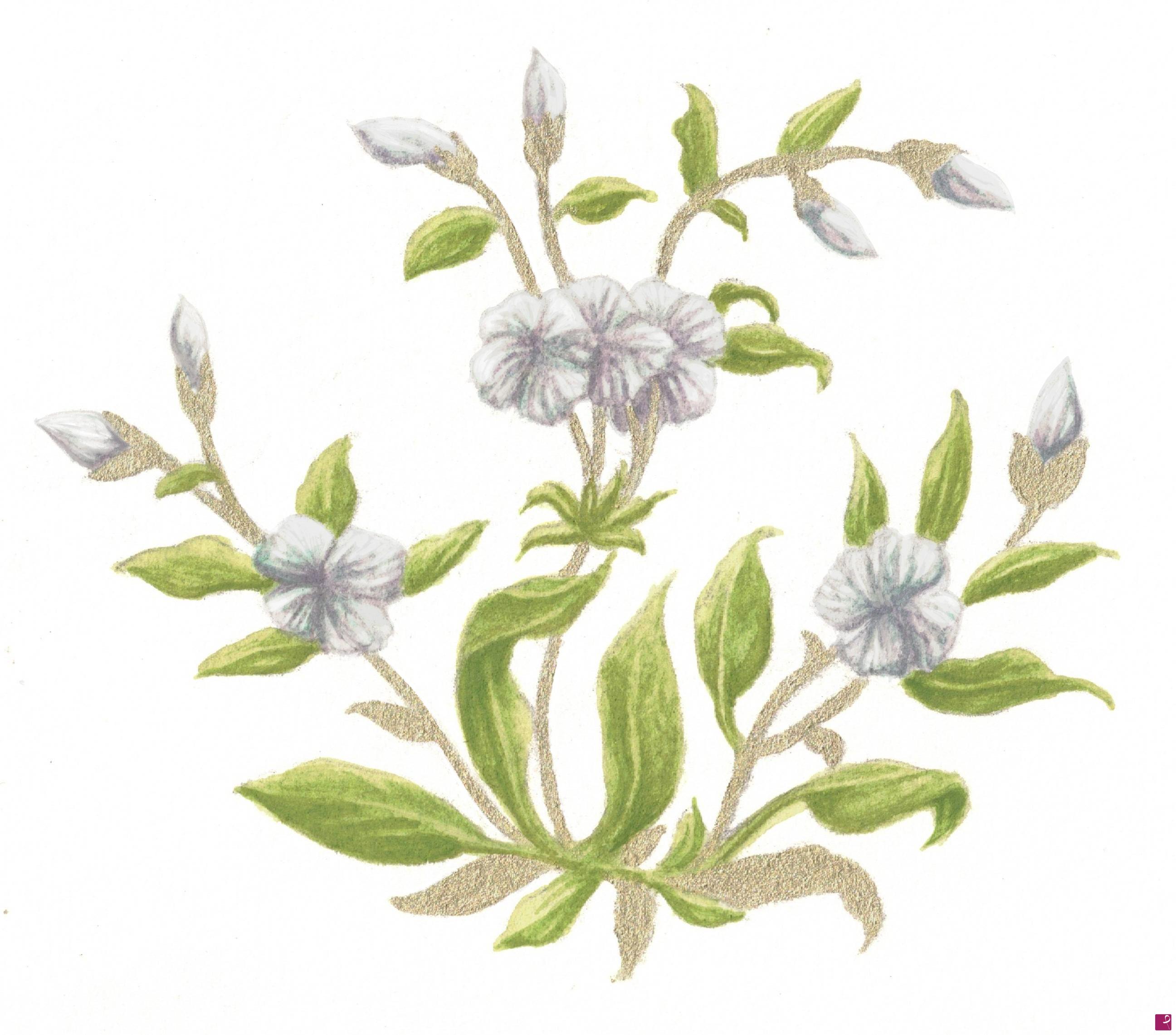 quadri in vendita online - Golden Flower Challenge - IV