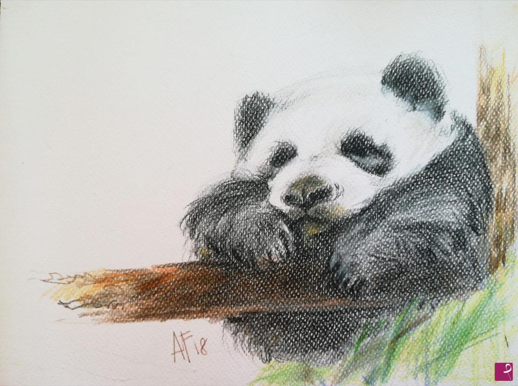 quadri in vendita online - Hanging panda