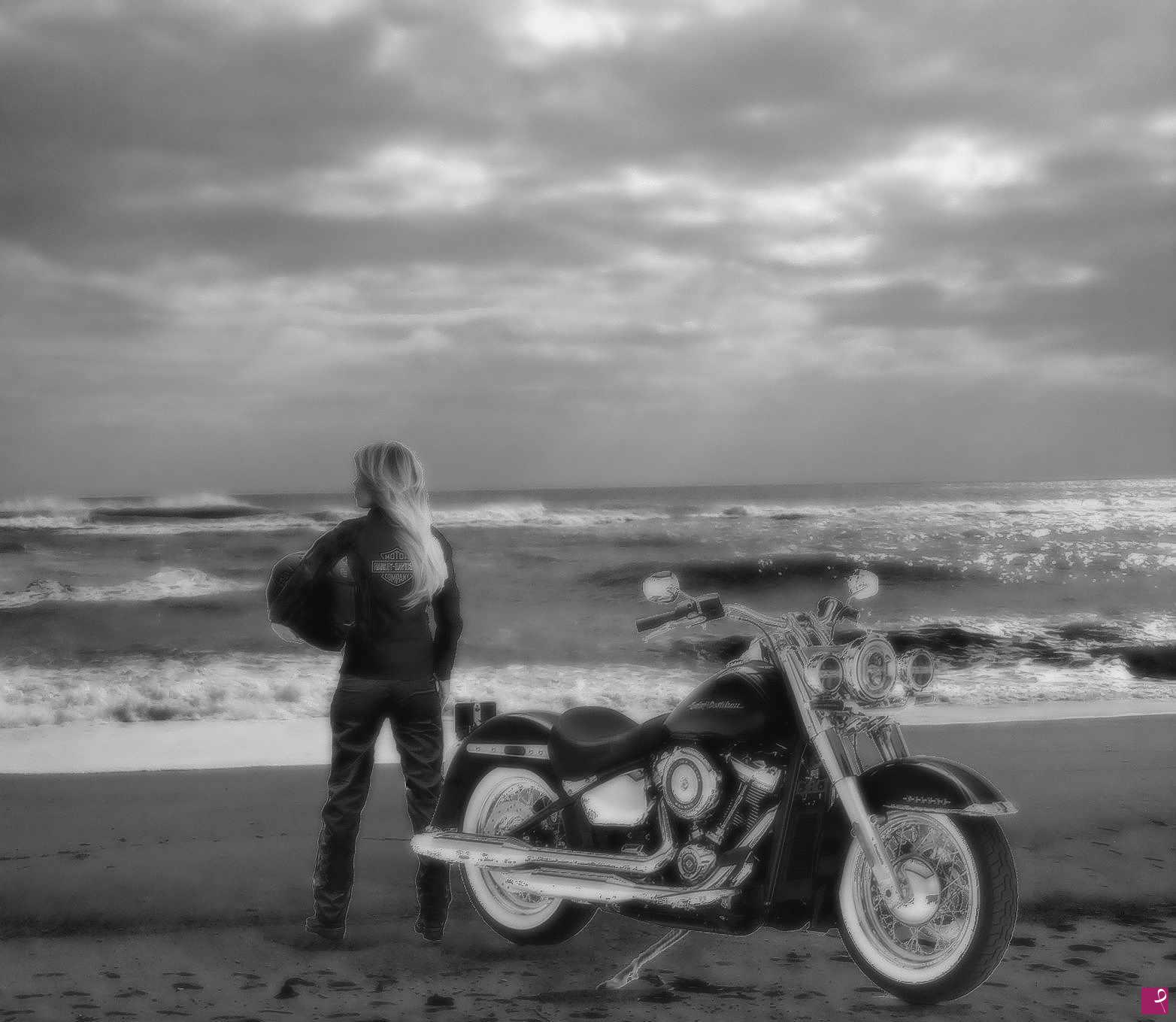 quadri in vendita online - harley davidson