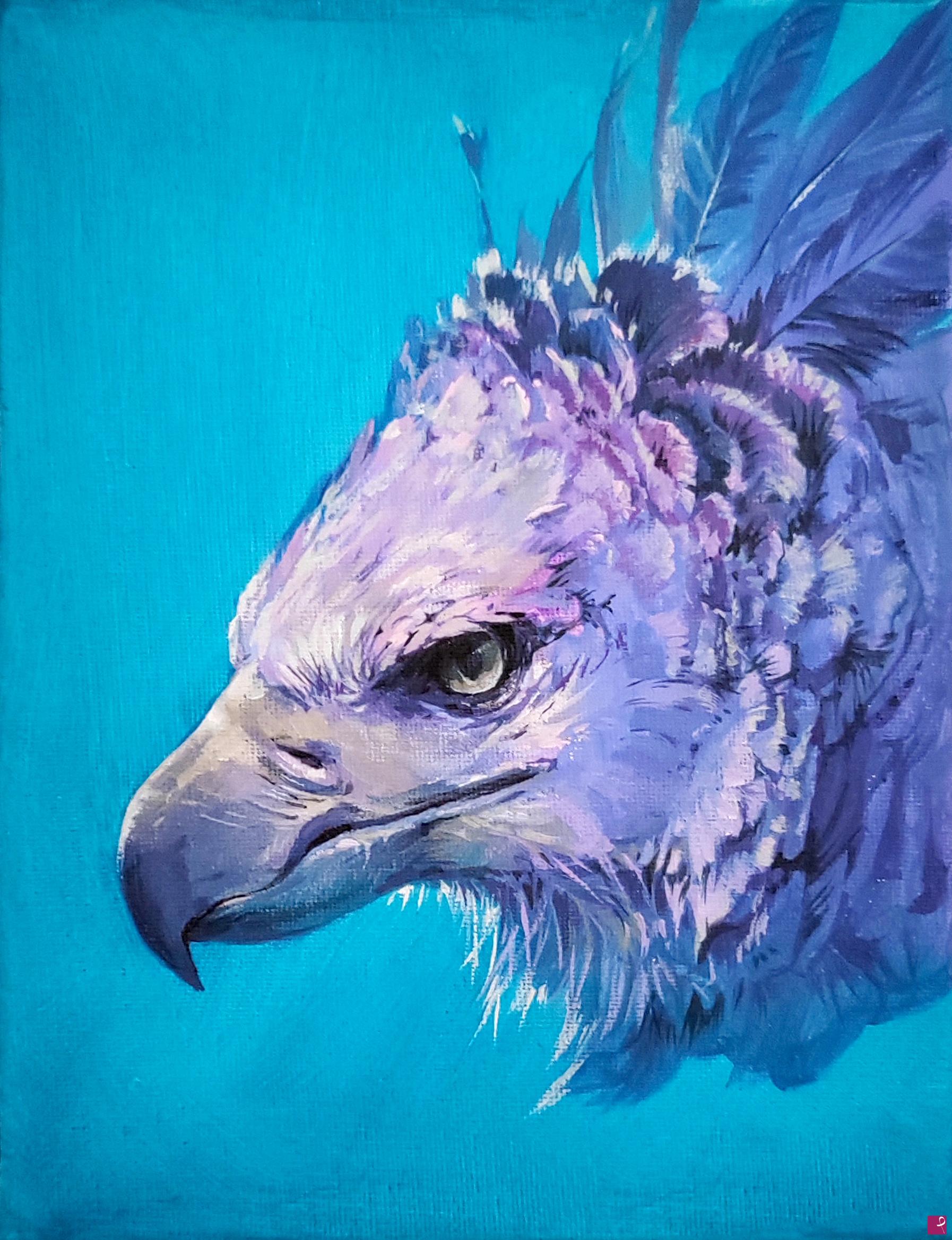 quadri in vendita online - Harpy eagle