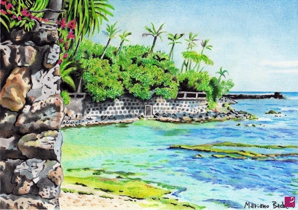 quadri in vendita online - Hawaii - 2018