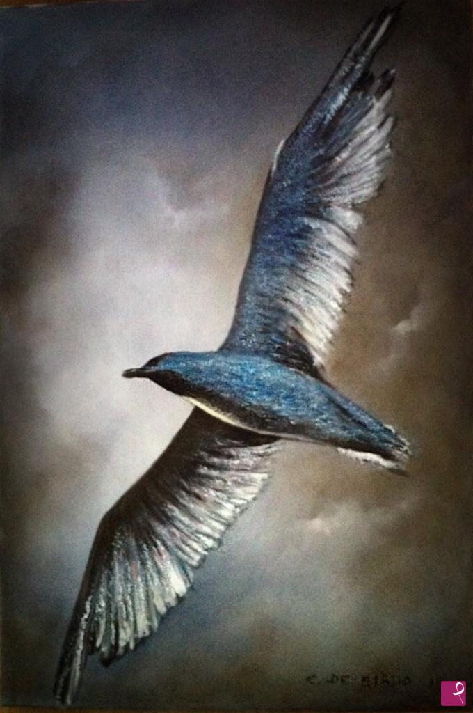 quadri in vendita online - Il gabbiano Jonathan Livingston