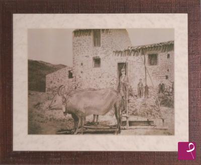Quadro venduto su PitturiAmo