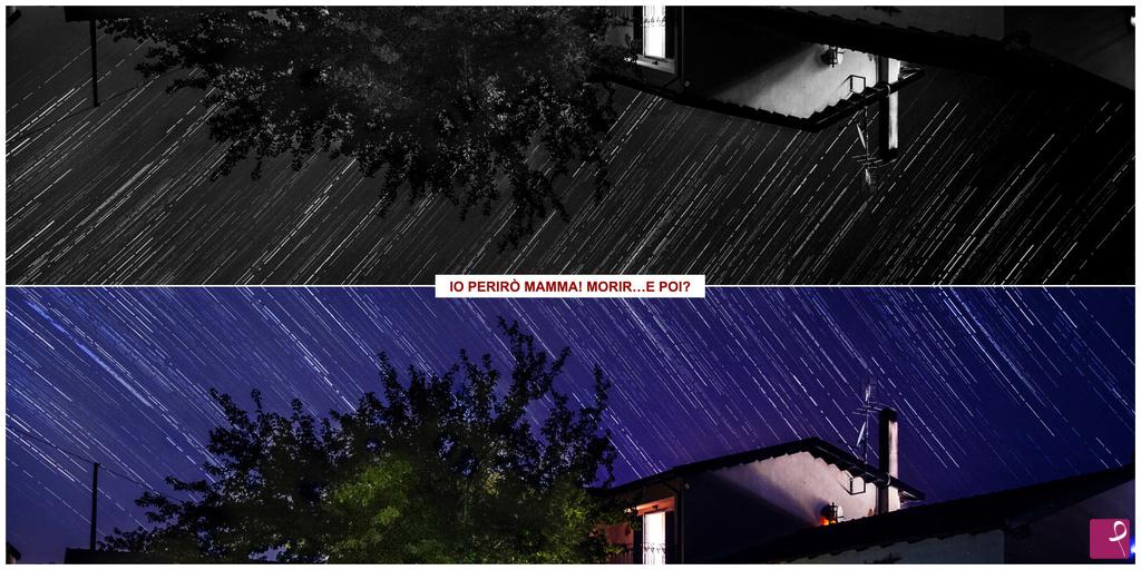quadri in vendita online - Io perirò mamma! Morir…e poi?