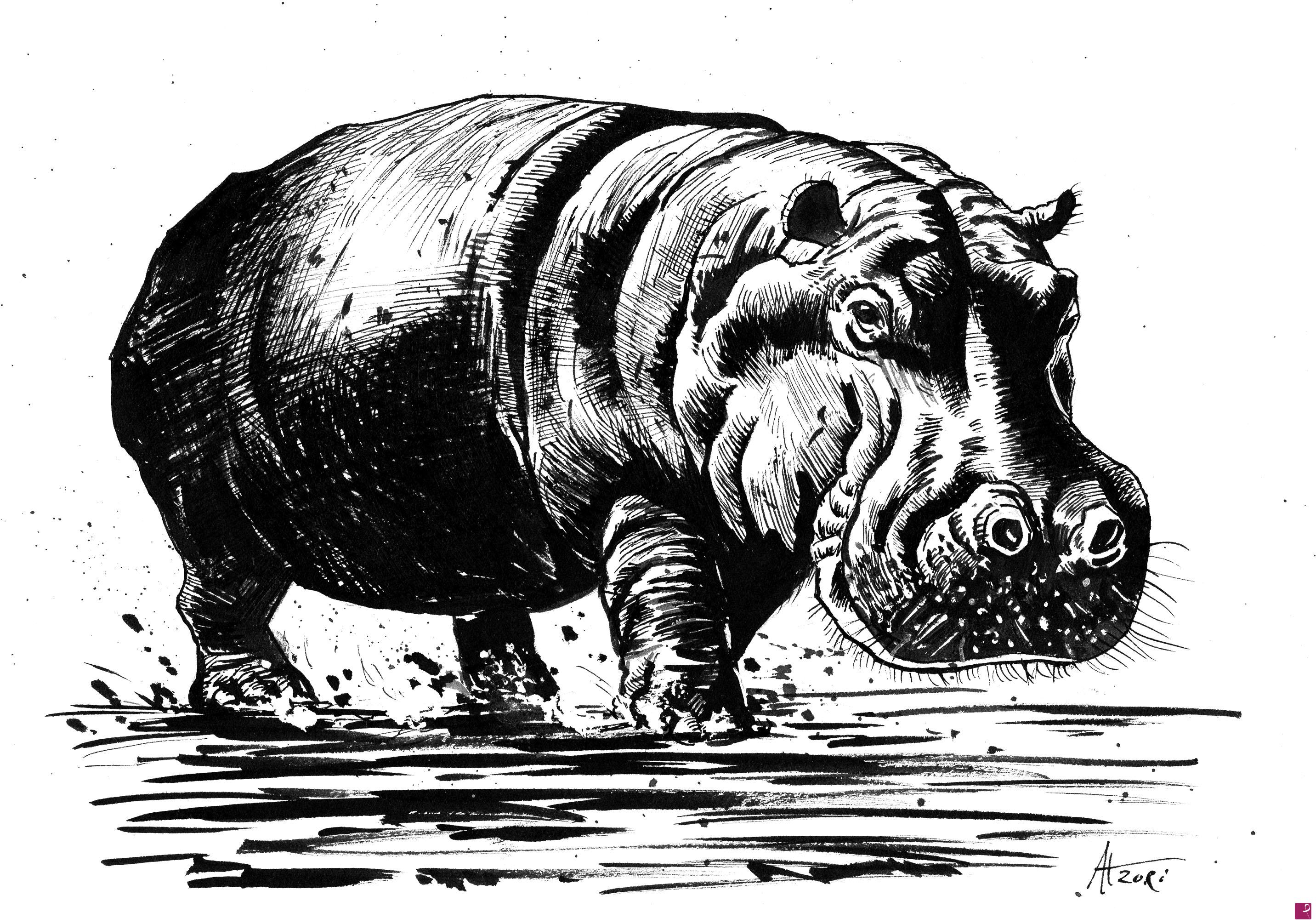 quadri in vendita online - Ippopotamo