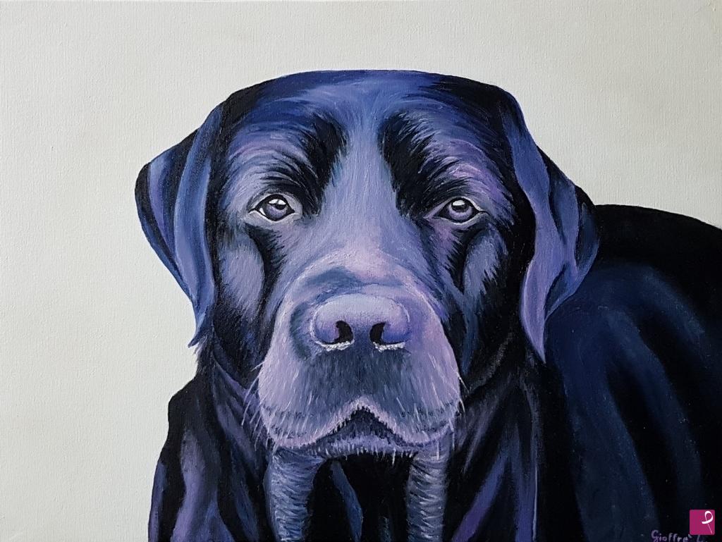 quadri in vendita online - Labrador