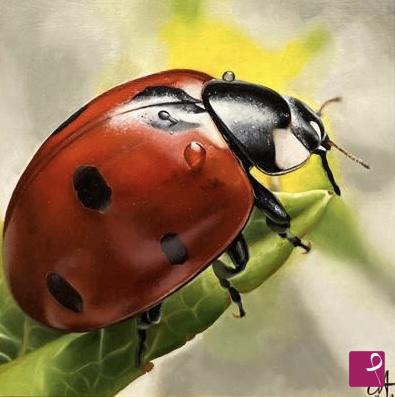 quadri in vendita online - Ladybug 