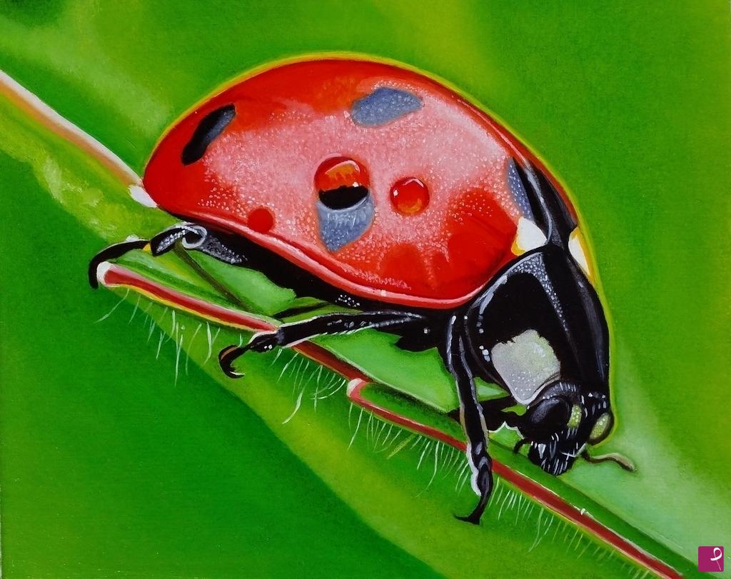 quadri in vendita online - "Ladybug II"