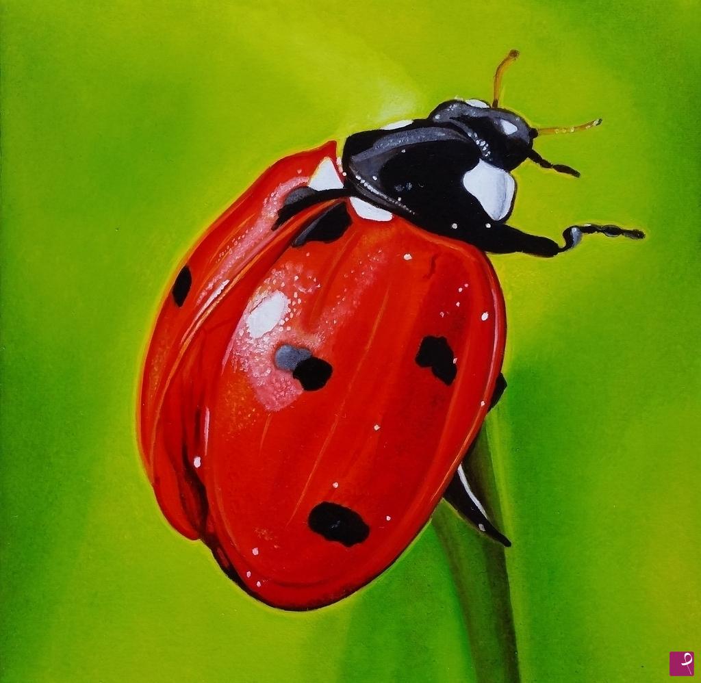quadri in vendita online - "Ladybug III"