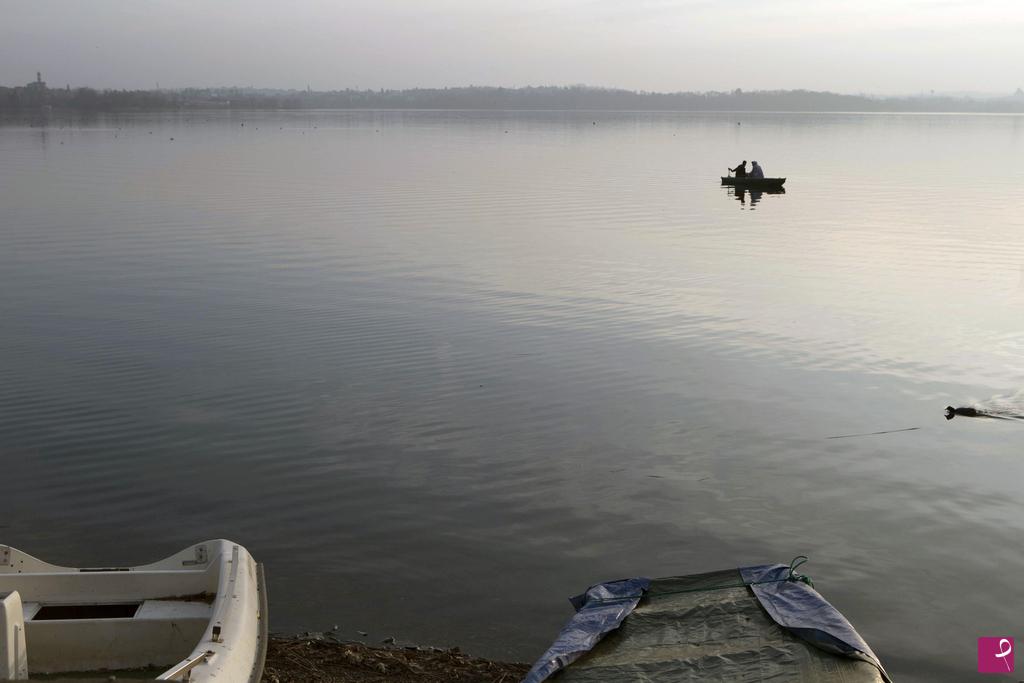 quadri in vendita online - Lago di Pusiano