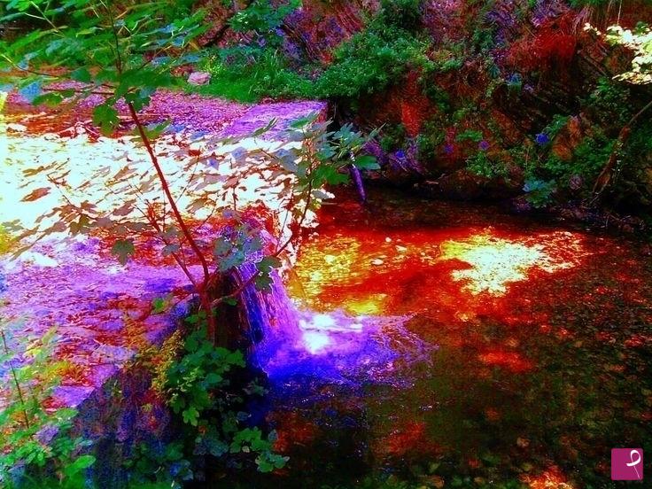 quadri in vendita online - L'ARCOBALENO NEL RUSCELLO 