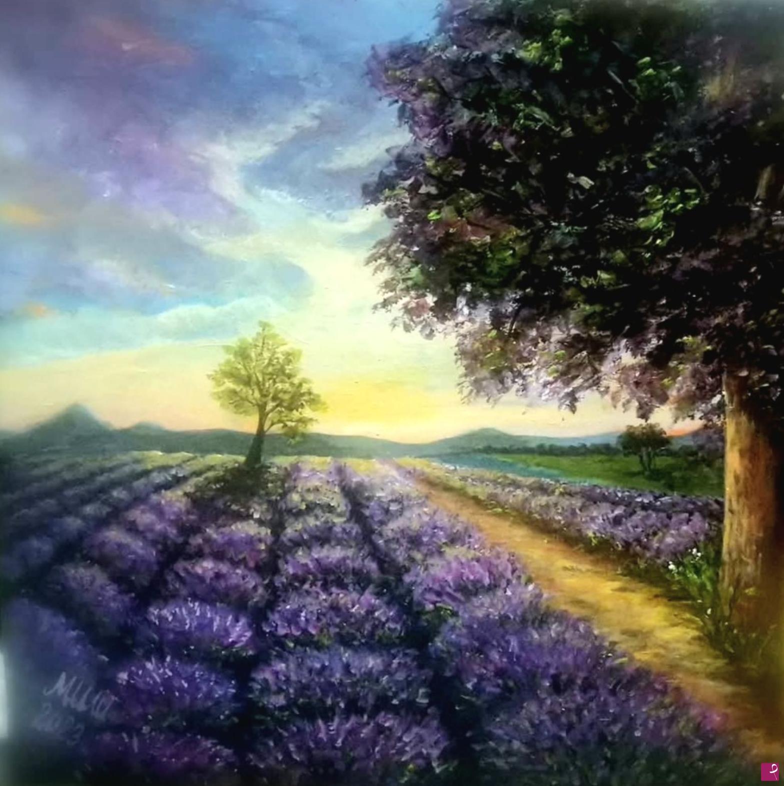 quadri in vendita online - Lavender fields 