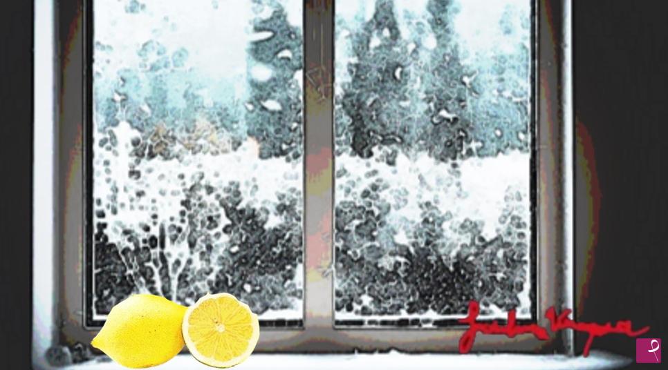 quadri in vendita online - Limoni d'inverno 