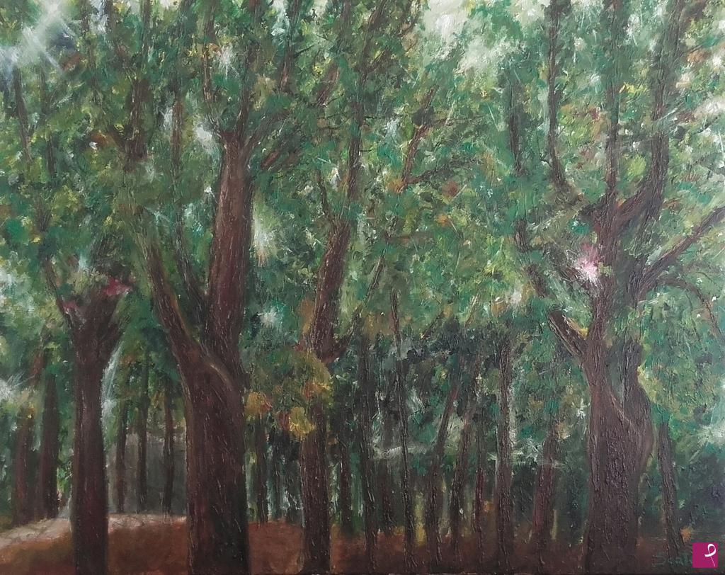 quadri in vendita online - Luce nella foresta