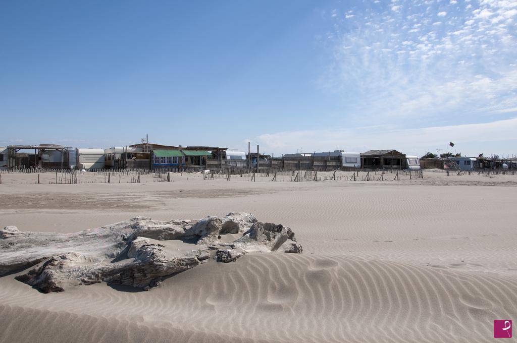 quadri in vendita online - Luci in Camargue