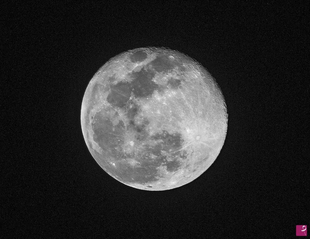 quadri in vendita online - Luna