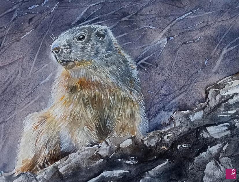 quadri in vendita online - marmotta