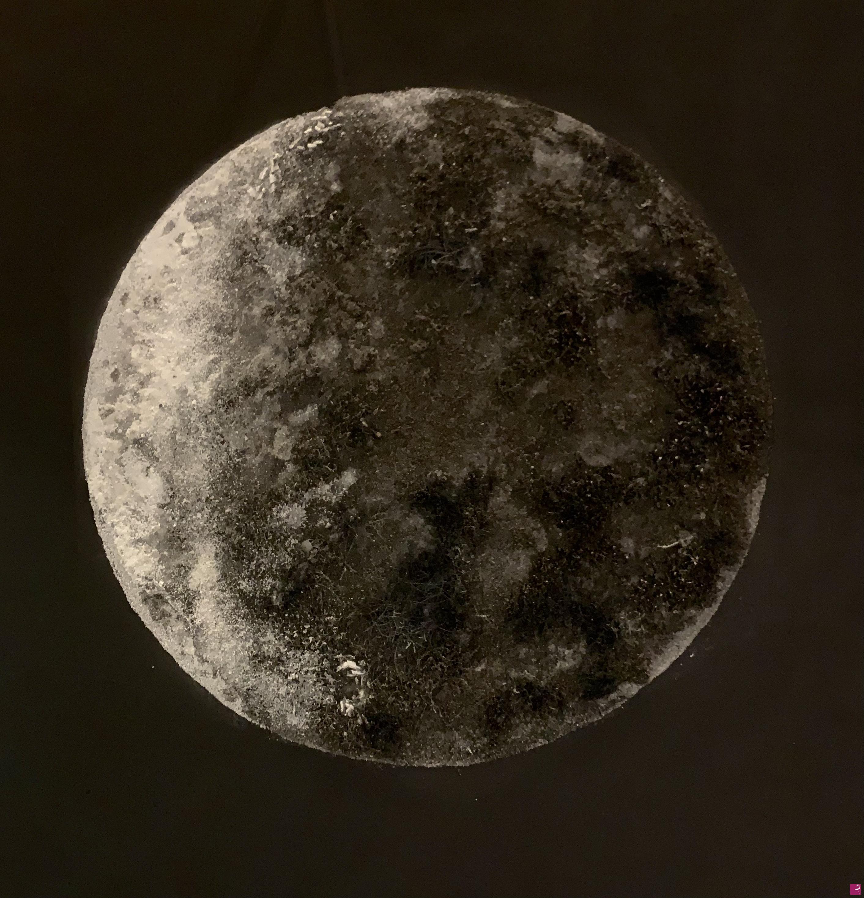 quadri in vendita online - Moonlight