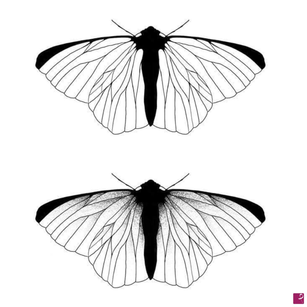 quadri in vendita online - ⚜️MOTHS⚜️