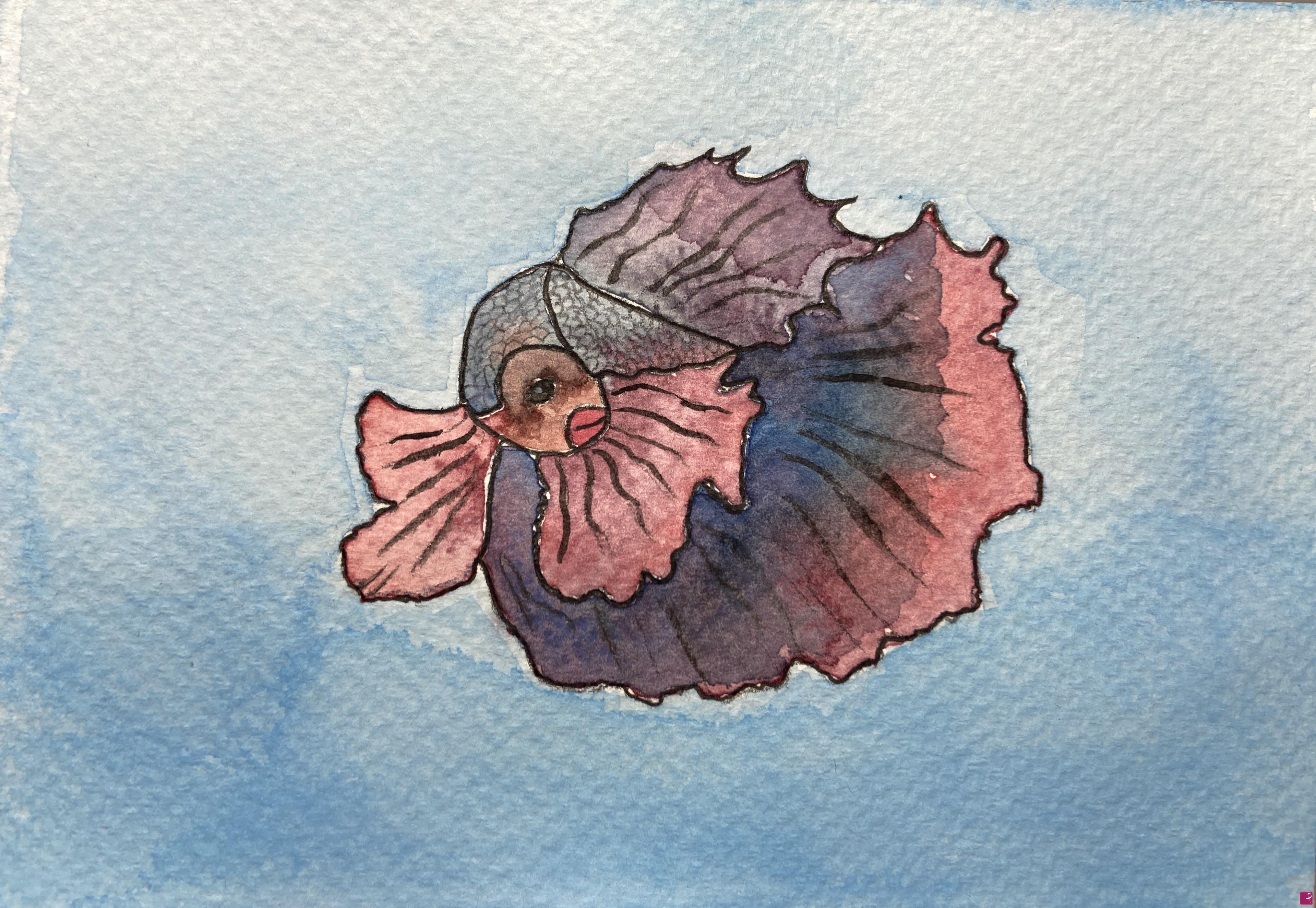 quadri in vendita online - My Betta