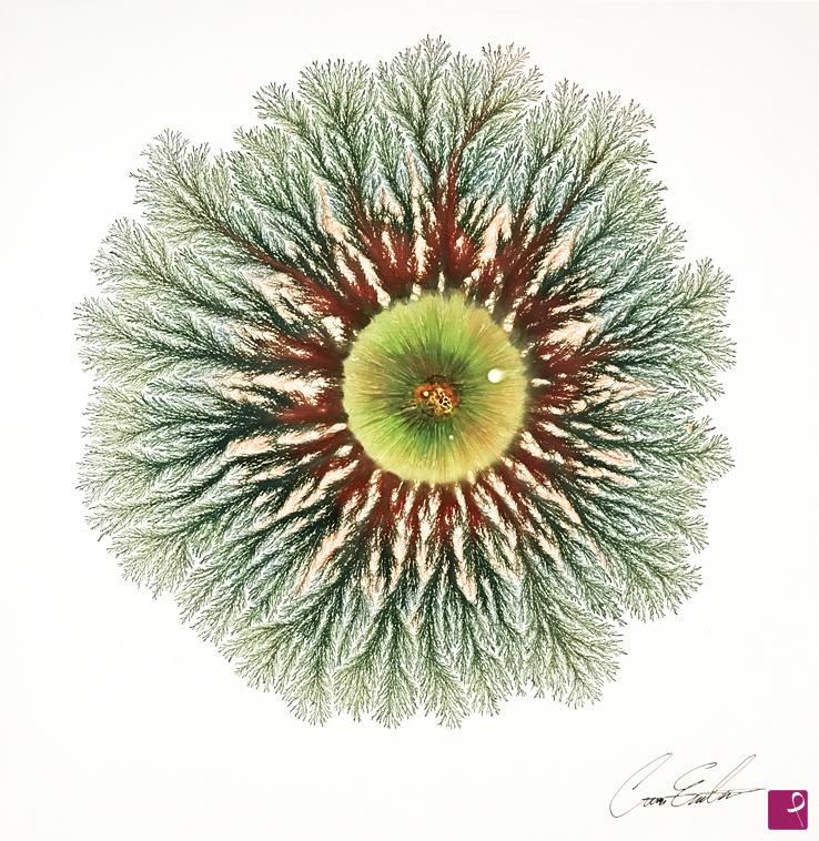 quadri in vendita online - Natural explosion