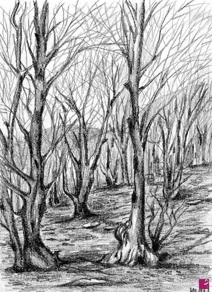 quadri in vendita online - Nel bosco 