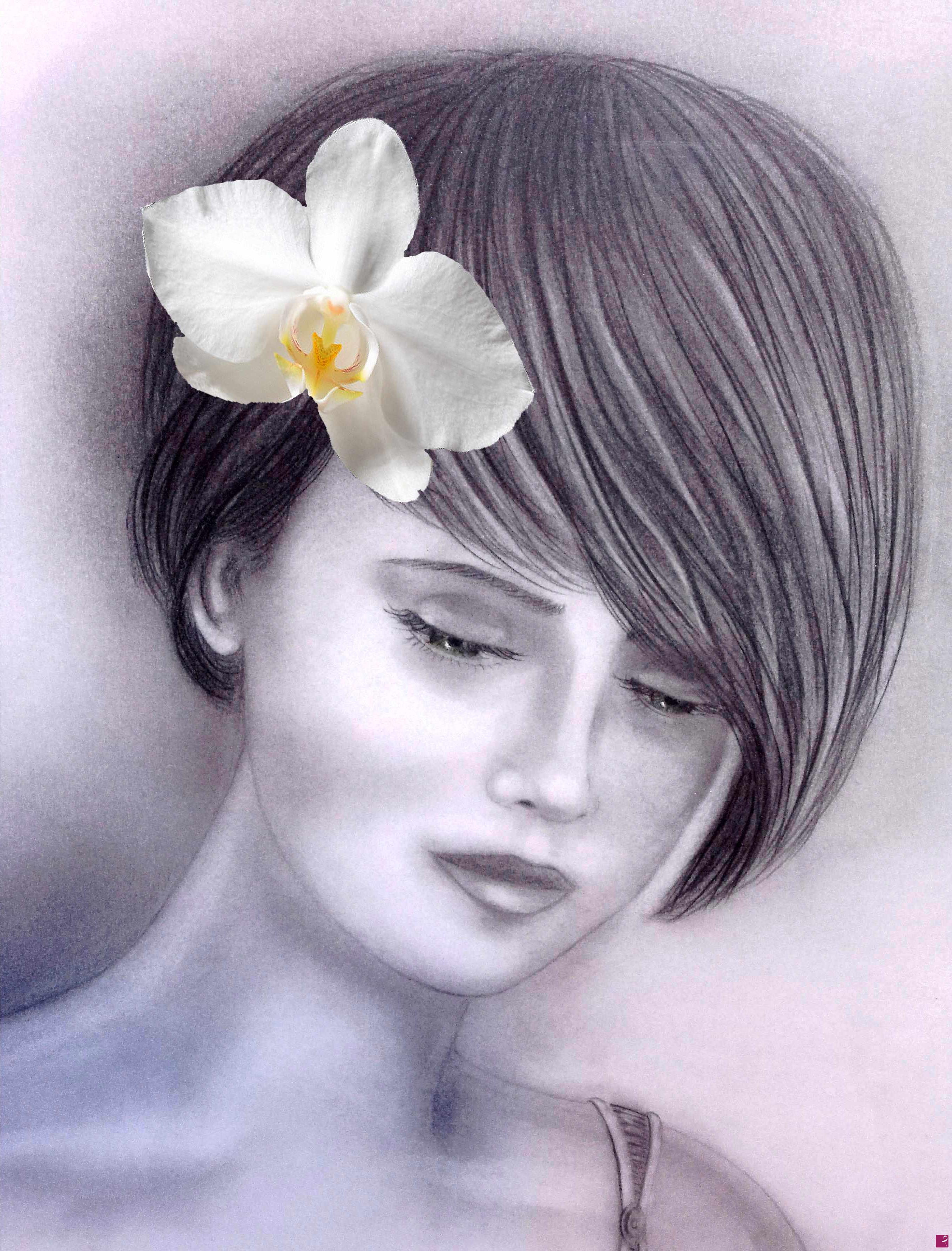 quadri in vendita online - Orchidea