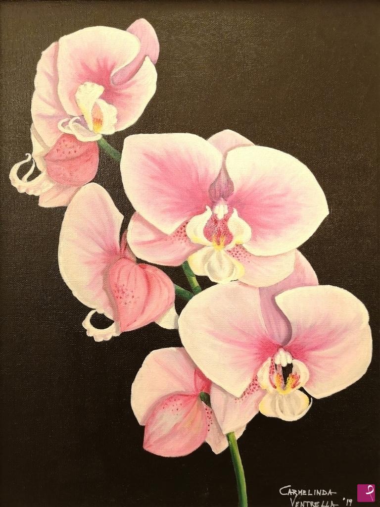 quadri in vendita online - Orchidee