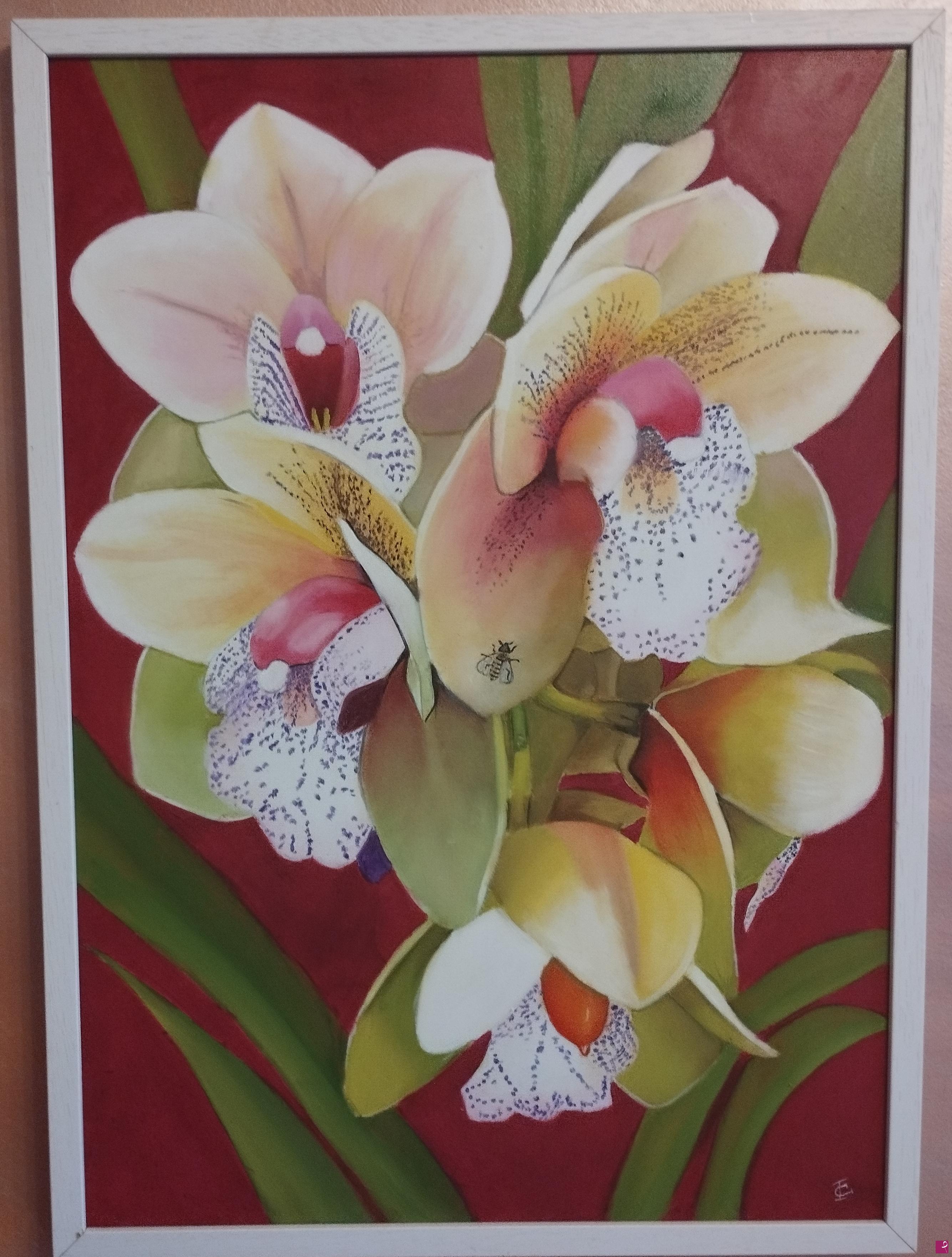 quadri in vendita online - Orchidee 