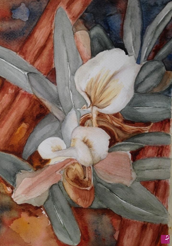 quadri in vendita online - Orchidee