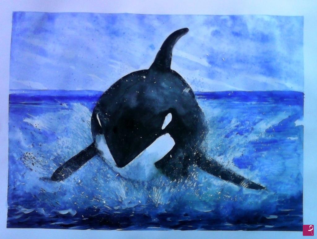 quadri in vendita online - Orcinus orca