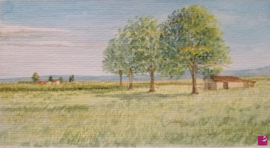 quadri in vendita online - Paesaggio Provenzale