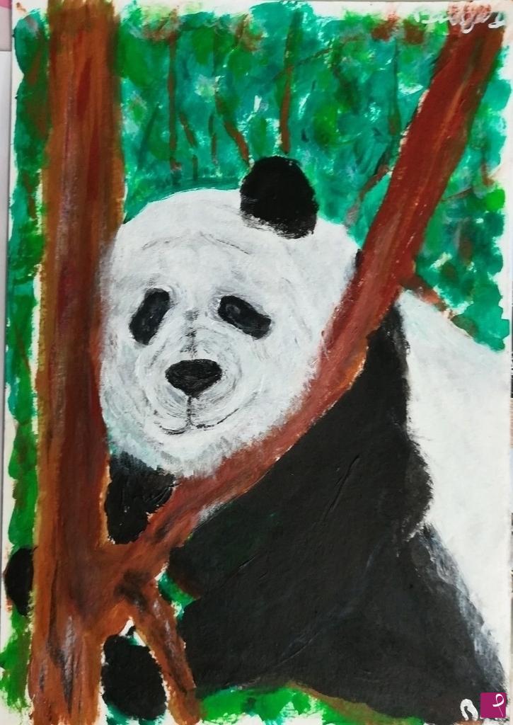 quadri in vendita online - panda