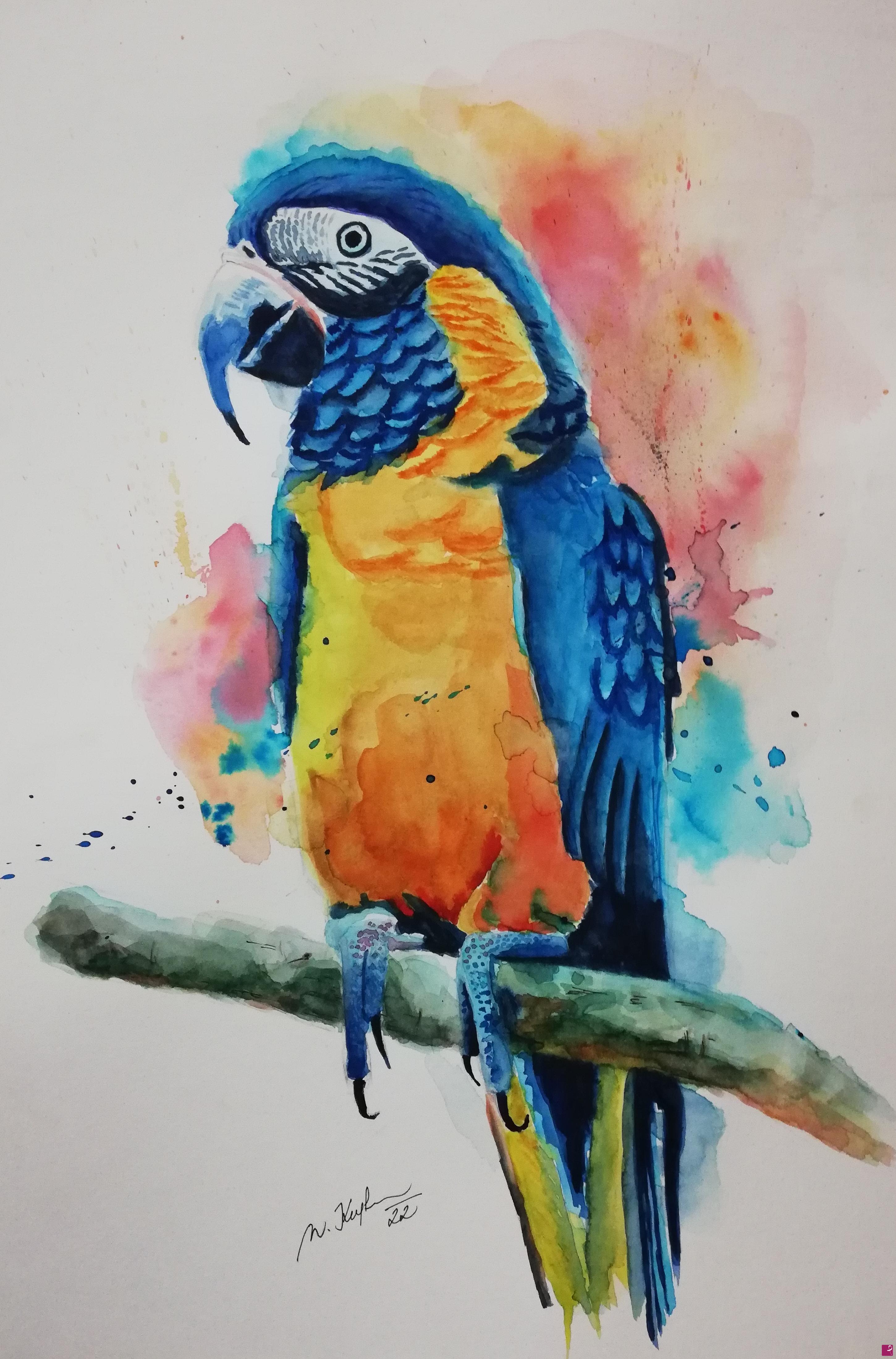 quadri in vendita online - Parrot
