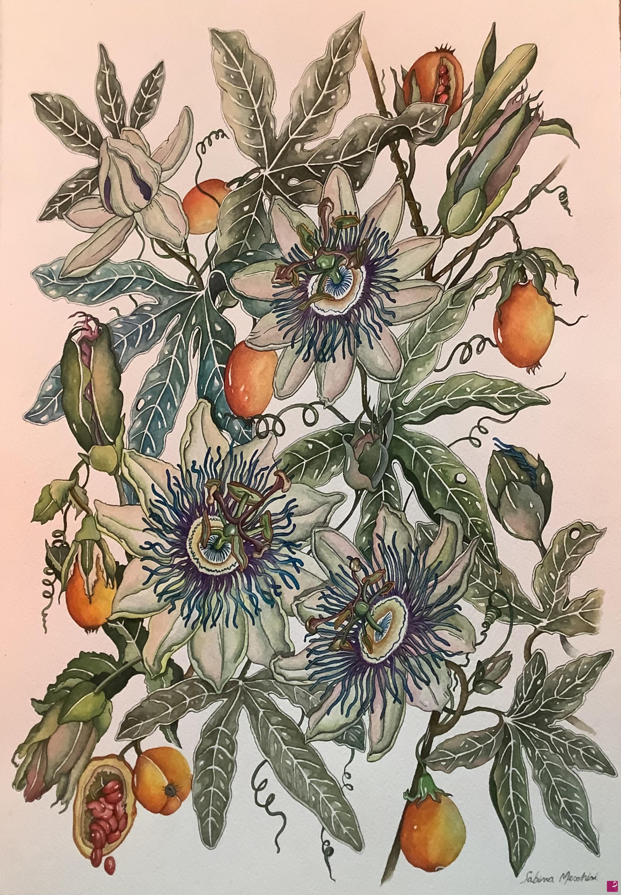 quadri in vendita online - Passiflora 