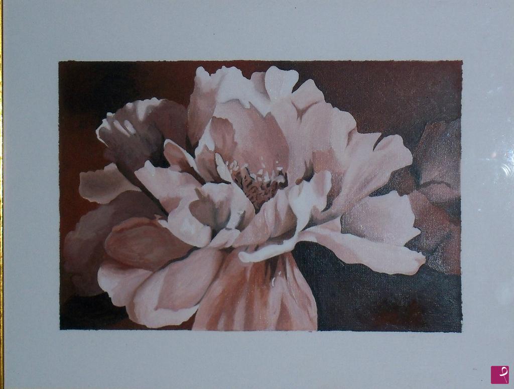 quadri in vendita online - Peonia monocromatica