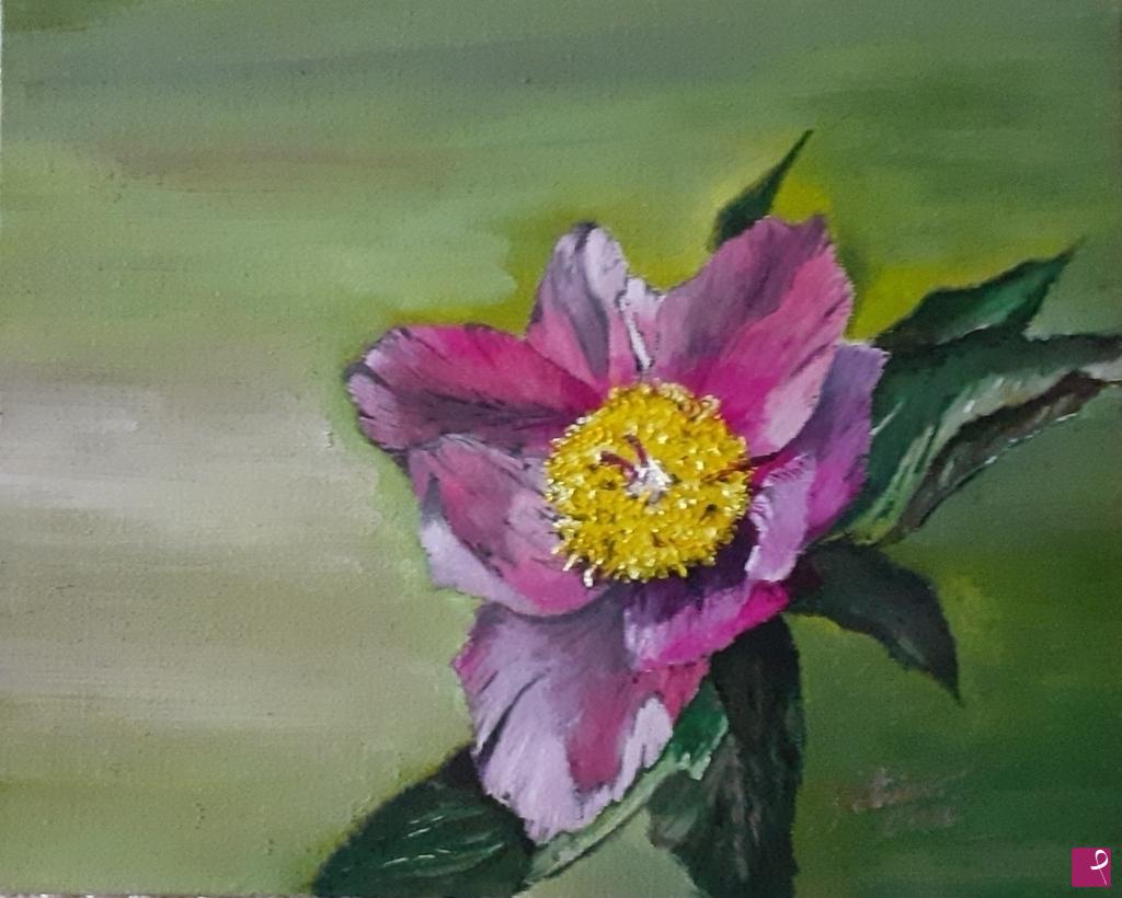quadri in vendita online - Peonia selvatica