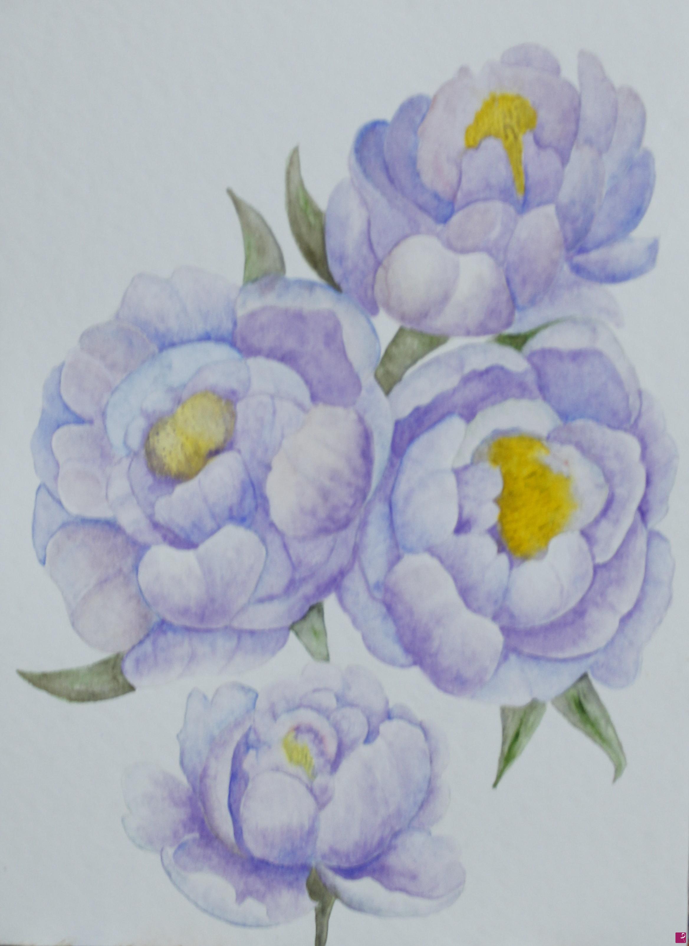 quadri in vendita online - Peonie ad acquerello