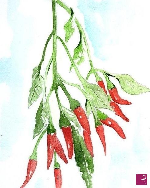 quadri in vendita online - Peperoncino Calabrese