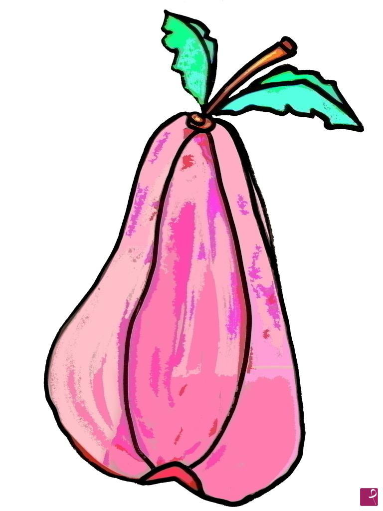 quadri in vendita online - pera rosa