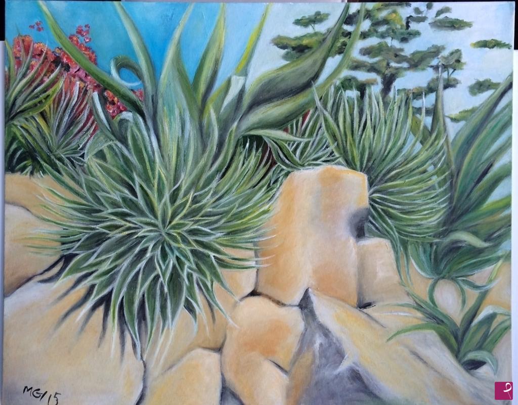quadri in vendita online - Piante di agave