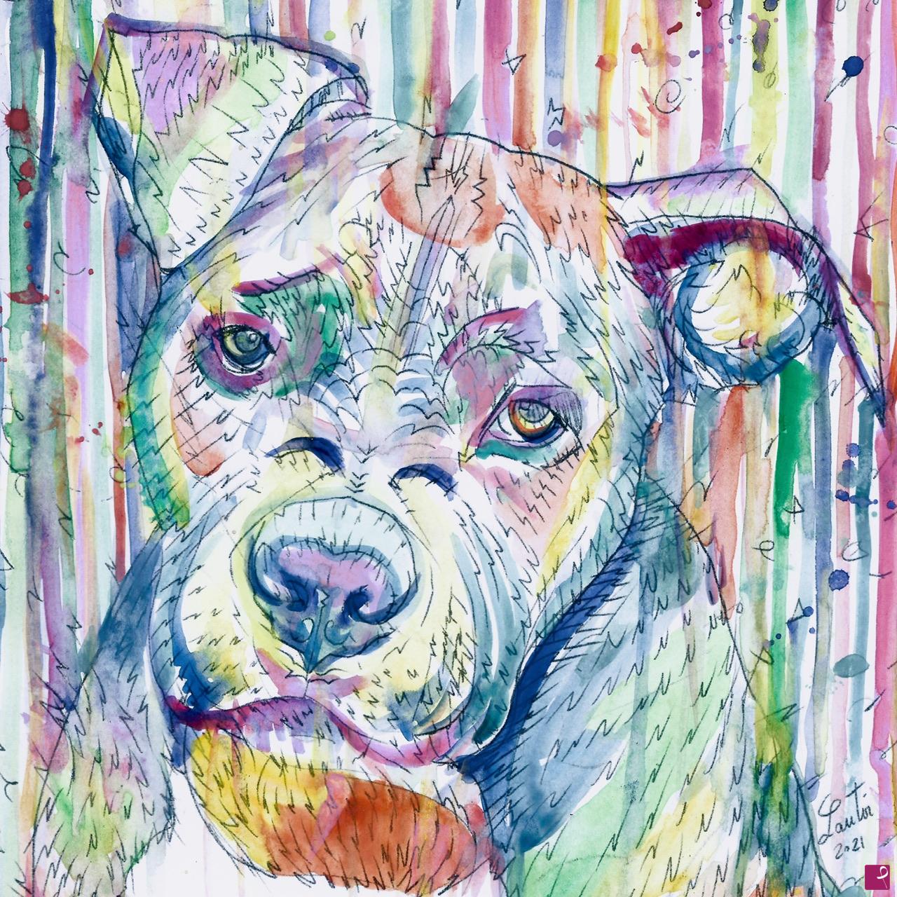 quadri in vendita online - PIT BULL