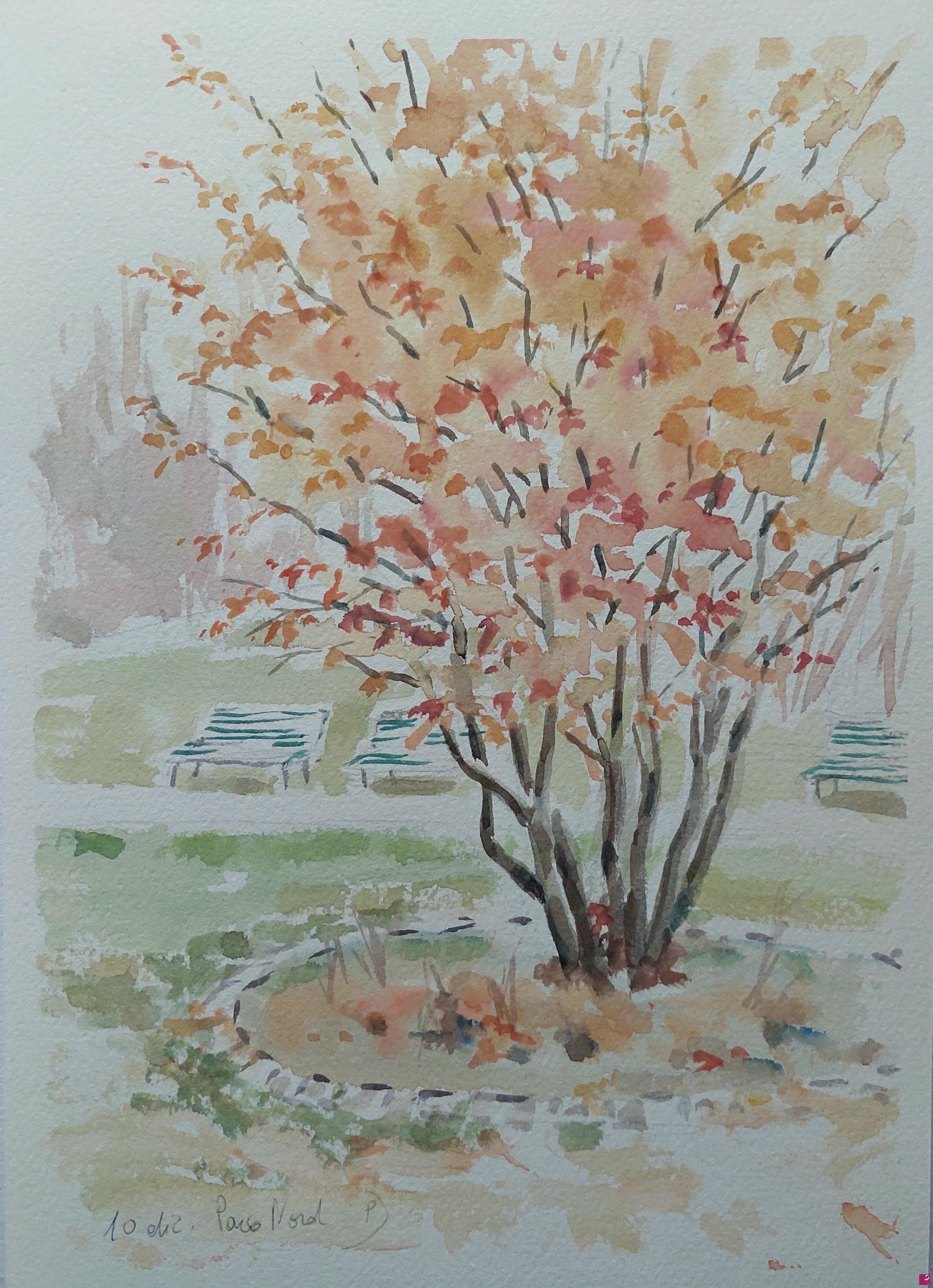 quadri in vendita online - Plein air al Parco Nord di Milano 10 dicembre 2024