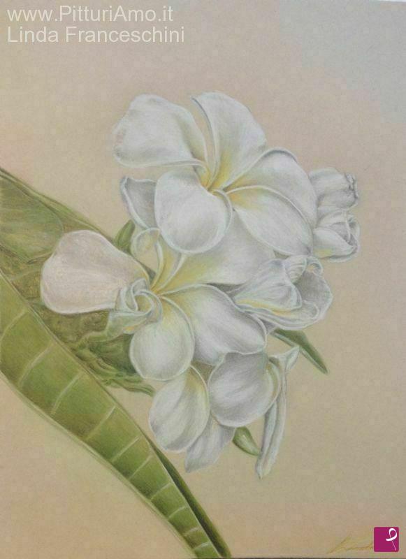 quadri in vendita online - PLUMERIA