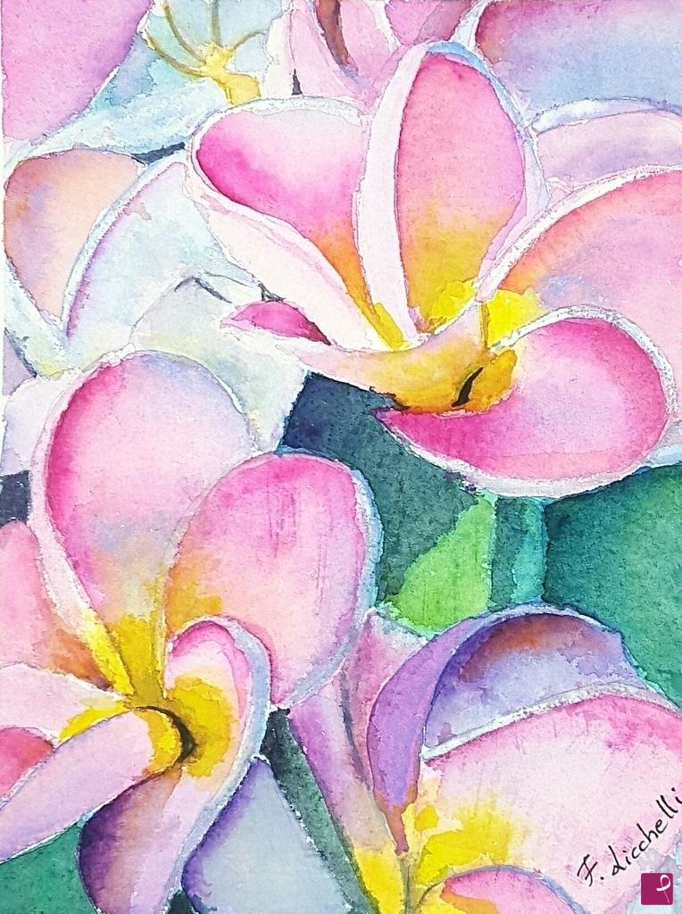 quadri in vendita online - Plumeria rosa