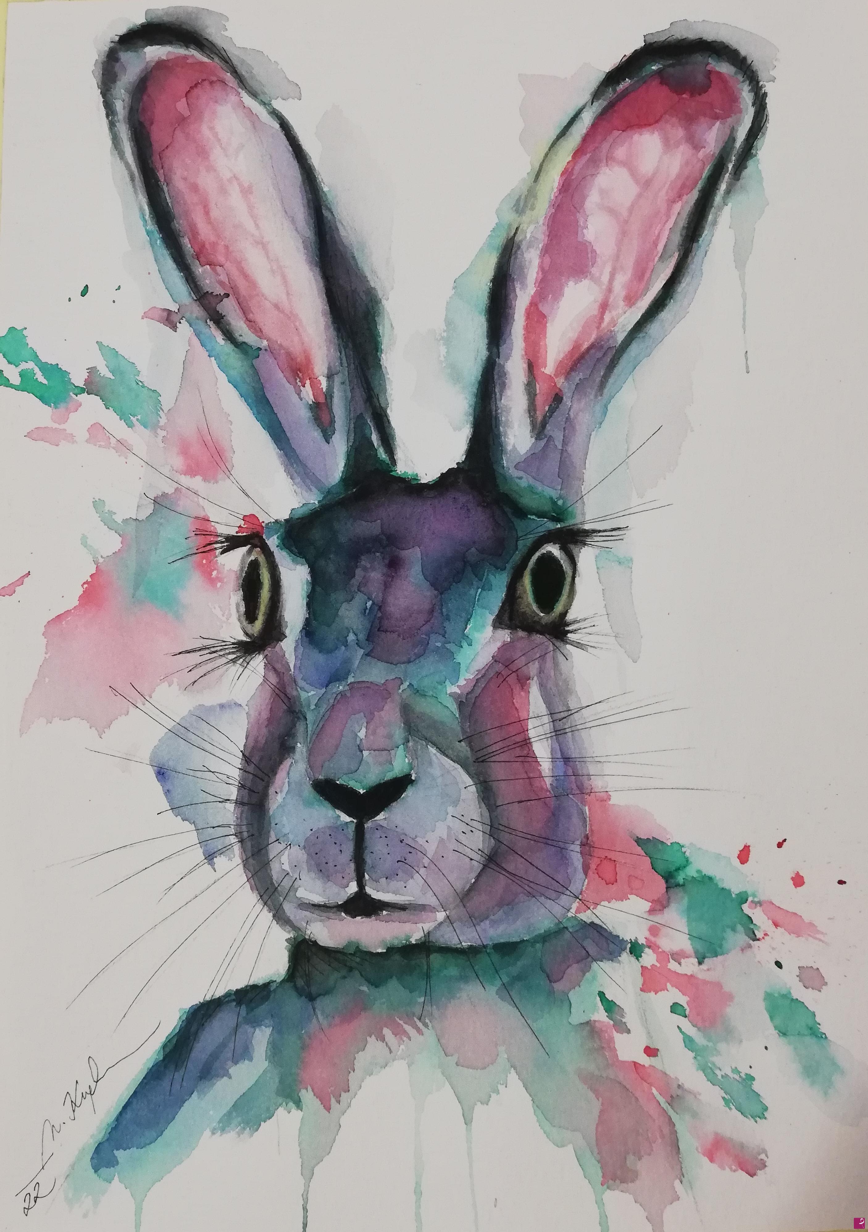 quadri in vendita online - Rabbit