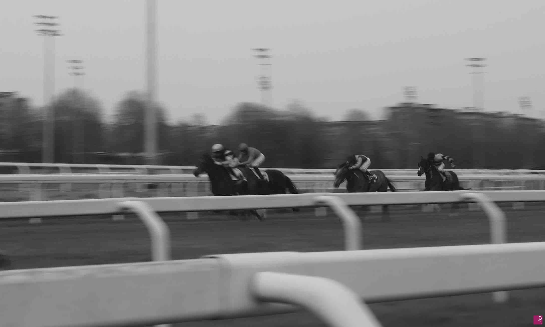 quadri in vendita online - RACING WHIT THE EAGLE, DEFYING THE WIND