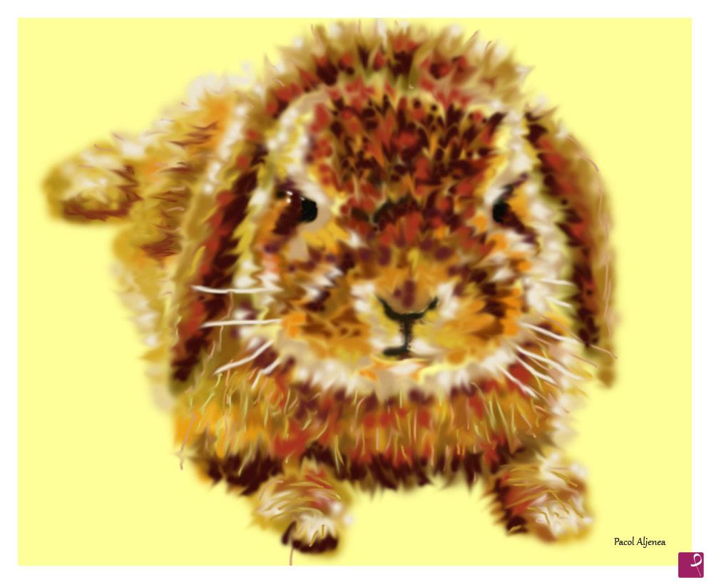 quadri in vendita online - Ram bunny