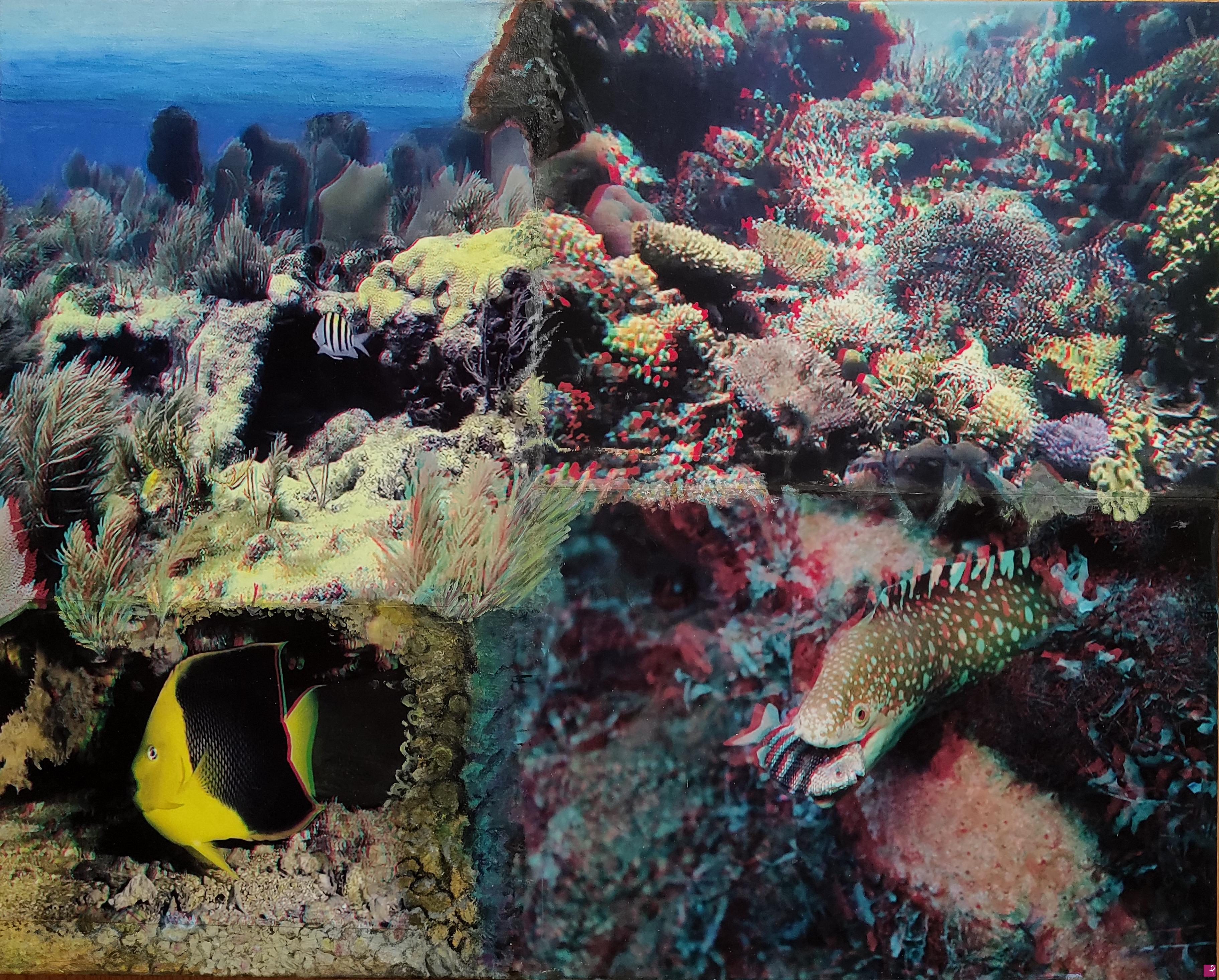 quadri in vendita online - reef 3.3D